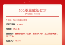 赛轮轮胎月度跟踪