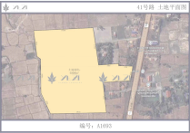 柬埔寨金边土地出售 41号路 60000㎡，柬埔寨，金边，柬埔寨土地，金边土地