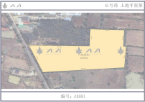 柬埔寨精选土地出售｜41号路 22385㎡，柬埔寨，柬埔寨土地