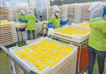 “柬中拓展农产品贸易空间巨大”（第一现场）