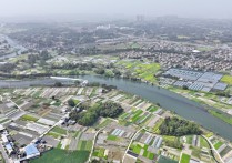C视觉丨四川双流：土地流转“转”出乡村振兴新活力
