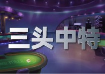 今晚精准一码大全V